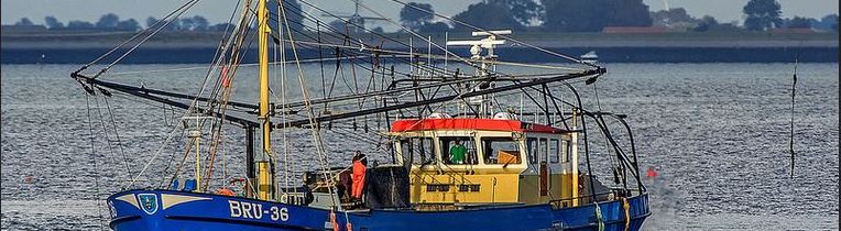 vissersboot